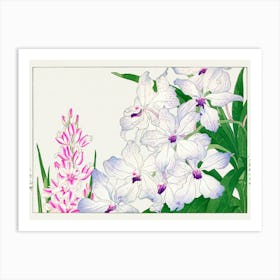 Orchids 1 Art Print