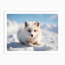 Arctic Fox Art Print