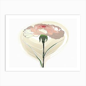 Carnation 16 Art Print