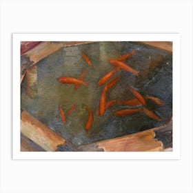 Goldfish Art Print