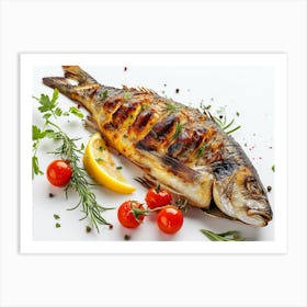 Grilled Fish On White Background 1 Art Print