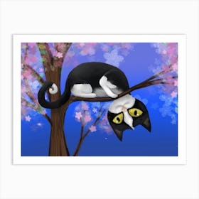 A funny cat in a blossom tree Art Print