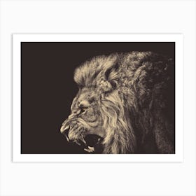 Angry Male Lion Art Print