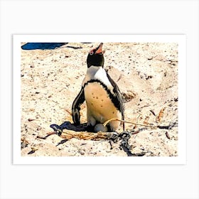 Penguins In Cape Town (Africa Series) Art Print