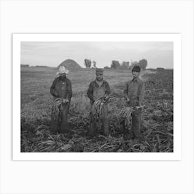 Untitled Photo, Possibly Related To Mexican Beet Workers, Near Fisher, Minnesota By Russell Lee 1 Art Print