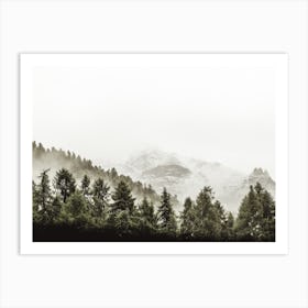 Foggy Evergreen Trees Art Print