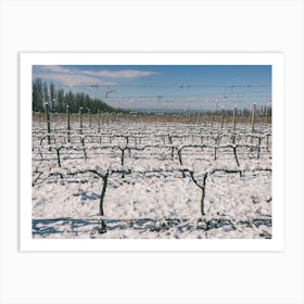 Unitltled 17 - Snow in the Vineyard Series Art Print