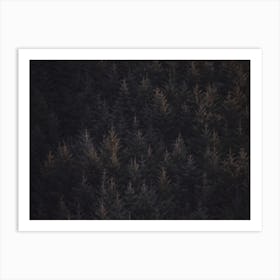 Rustic Pine Forest Art Print