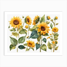 Sunflowers 7 Art Print