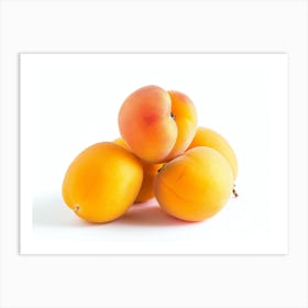 Apricots 7 Art Print