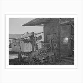 Farmer Unloading A Trailer Of Corn At Feed Mill, Taylor, Texas By Russell Lee Art Print