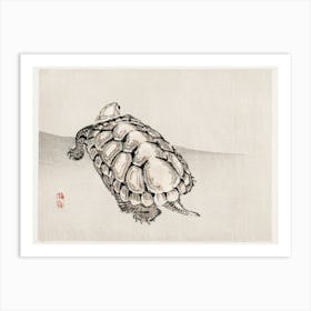 Turtle, Kōno Bairei Art Print