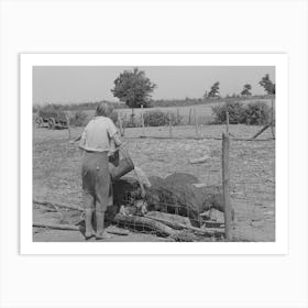 Daughter Of Tenant Farmer Feeding The Hogs Near Muskogee, Oklahoma, See General Caption 20 By Russell Lee Art Print