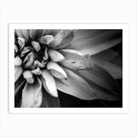 Flower I Art Print