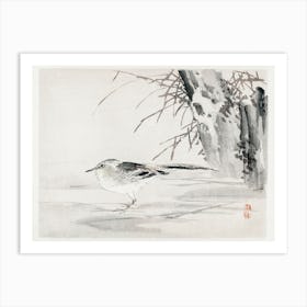 Spotted Sandpiper, Kōno Bairei Art Print