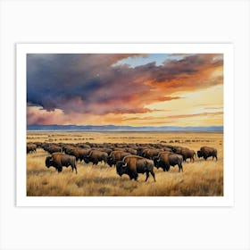 Wild Plains Herd Of Bison Art Print