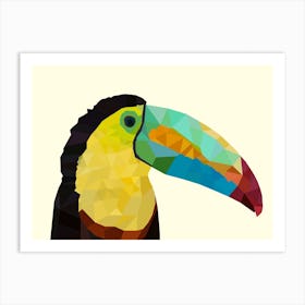 Toucan Art Print