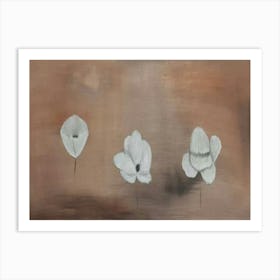 Three White Flowers Art Print