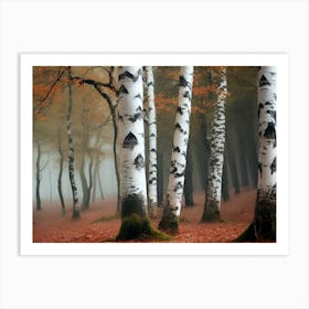 Birch Forest 88 Art Print