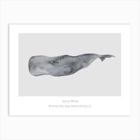 Sperm Whale Art Print