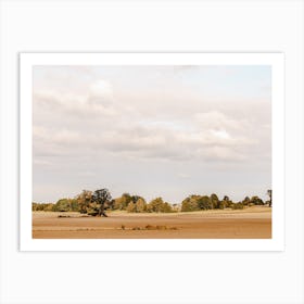 Warm Sweeping Scenery Art Print