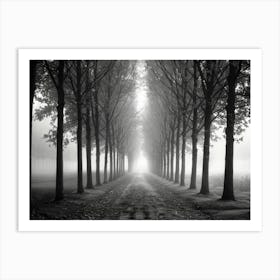 Misty Road Art Print