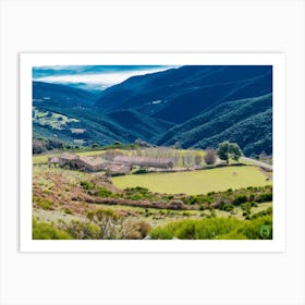 Vineyard In The Mountains 20181223 39ppub Art Print