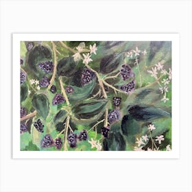 Brambles Art Print