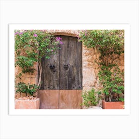 Door To A House Art Print