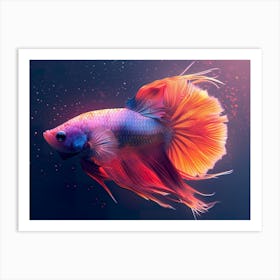 Siamese Catfish 8 Art Print