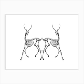 Forgotten deers Art Print