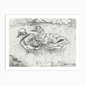 Two Ducks (1873–1917), Theo Van Hoytema Art Print