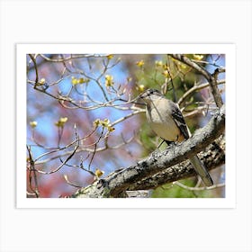 Bird Looking at You Art Print