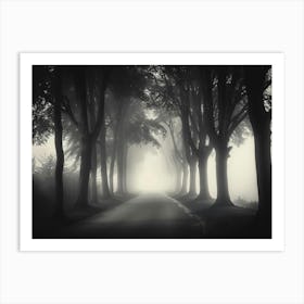 Road In The Fog Art Print