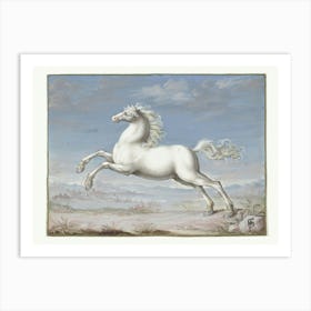 Wit Paard (1552 1601), Joris Hoefnagel Art Print