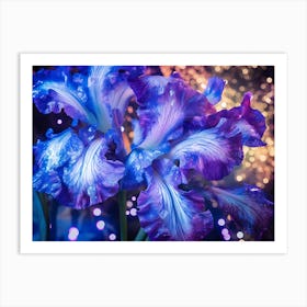 Blue Iris 3 Art Print