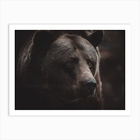 Moody Bear Portrait Art Print