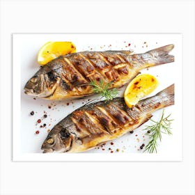 Grilled Fish On White Background 2 Art Print