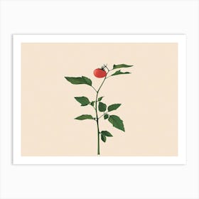 Tomato Art Print