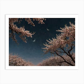 Cherry Blossoms Under Moonlight Art Print