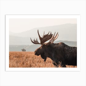 Rustic Moose Art Print