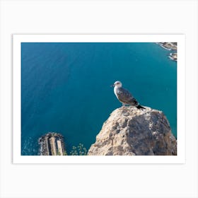 Seagull on the cliffs and blue sea water Art Print