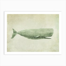 Antique Whale Art Print