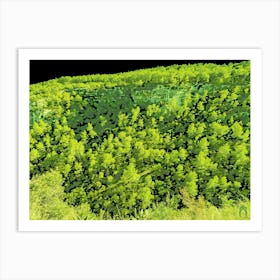 Forest Of Trees 202308311659107rt1pub Art Print