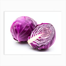 Red Cabbage (16) Art Print