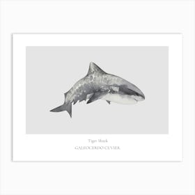 Tigershark Art Print