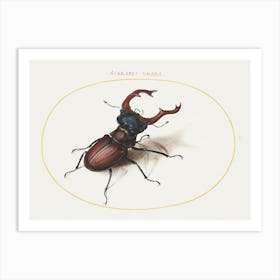 Stag Beetle (1575–1580), Joris Hoefnagel Art Print