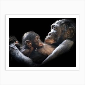 Chimpanzee With Baby Art Print