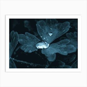 A Drop Of Water In The Grass Under The Night Moonlight Art Print