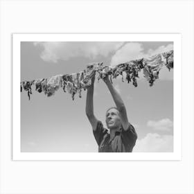 Untitled Photo, Possibly Related To Spanish American Woman Hanging Up Meat To Dry, Chamisal, New Mexico By Art Print